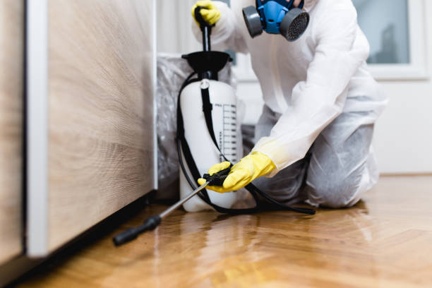 Flea Control Services in Middlesex, NJ