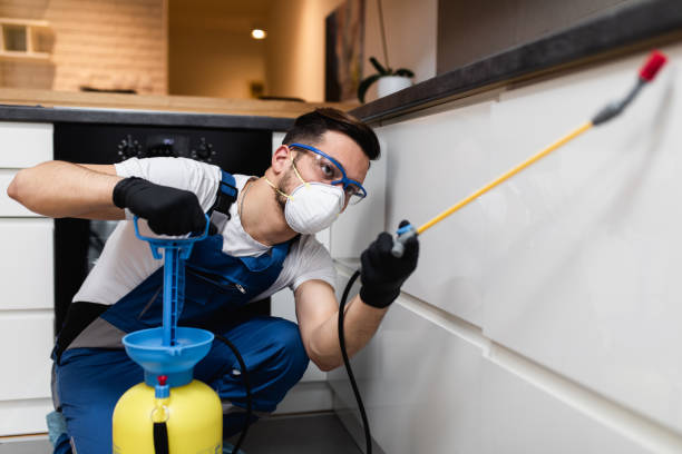 Best Pest Control Near Me  in Middlesex, NJ