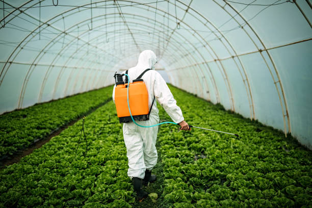 Best Best Pest Control Companies  in Middlesex, NJ