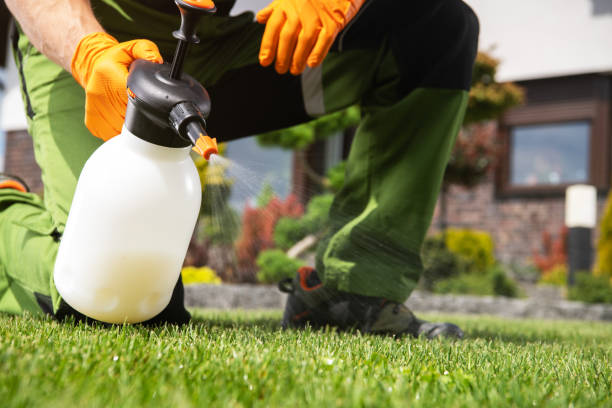 Best Mosquito Control Services  in Middlesex, NJ