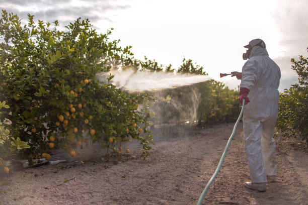 Middlesex, NJ Pest Control Pros