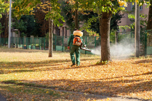 Wasp Removal Services in Middlesex, NJ