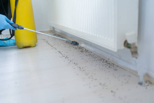 Best Pest Control Near Me in Middlesex, NJ