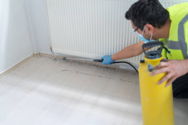 Best Local Pest Control Services  in Middlesex, NJ