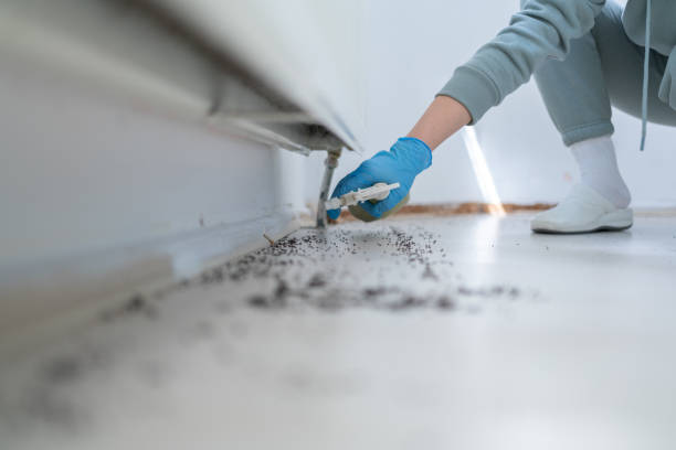 Professional Pest Control in Middlesex, NJ